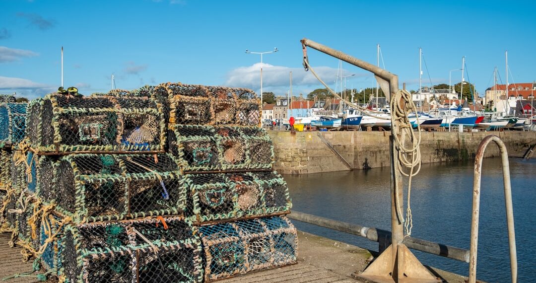 Cold fresh day in Anstruther, Fife. Empty fishing baskets piled up high ready for the next catch.