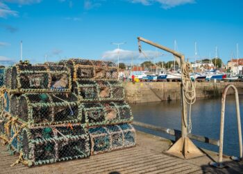 Cold fresh day in Anstruther, Fife. Empty fishing baskets piled up high ready for the next catch.