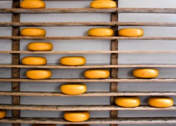 Making of cheese.